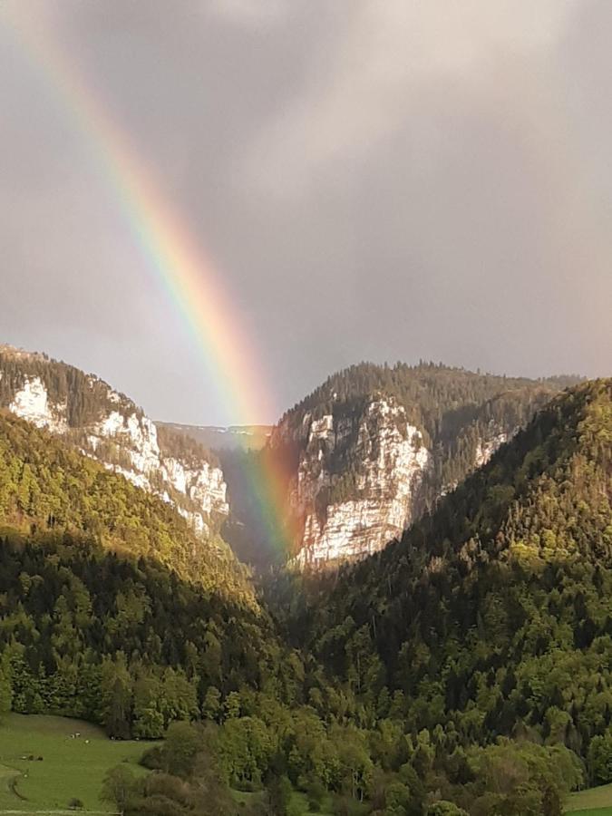 Tiny De L'Aigle Daire Villeret Dış mekan fotoğraf