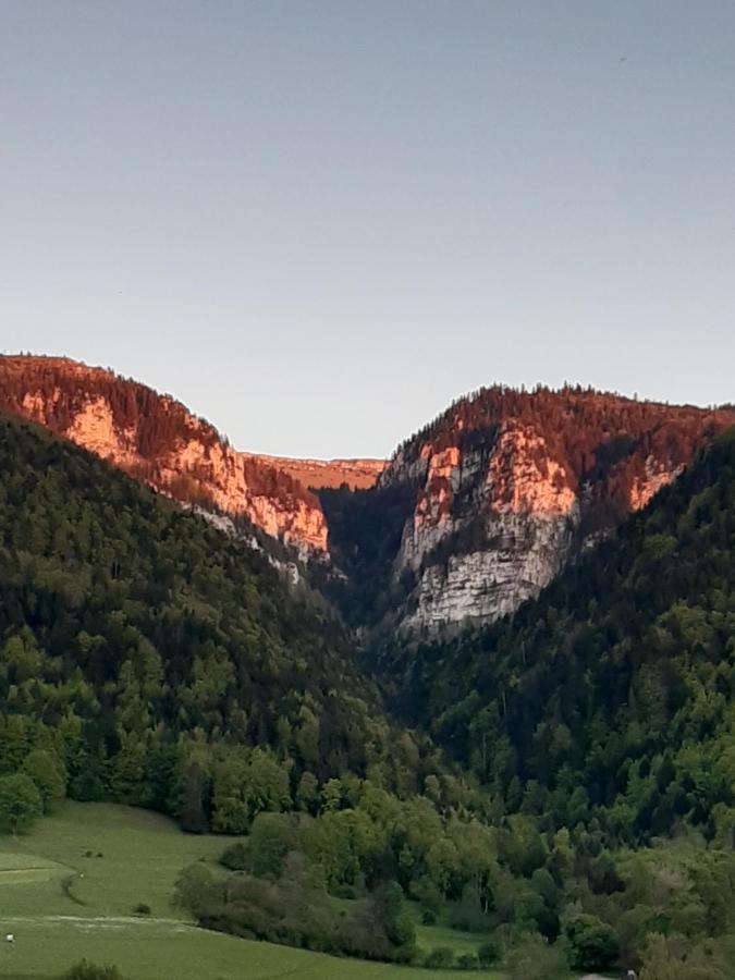 Tiny De L'Aigle Daire Villeret Dış mekan fotoğraf